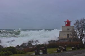 Wild Pacific Trail Lighthouse Loop