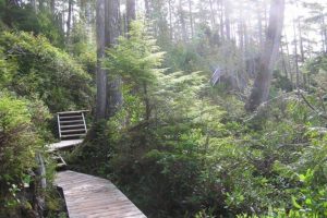 Hot Springs Cove Trail