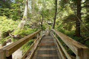 Tonquin Trail Connector