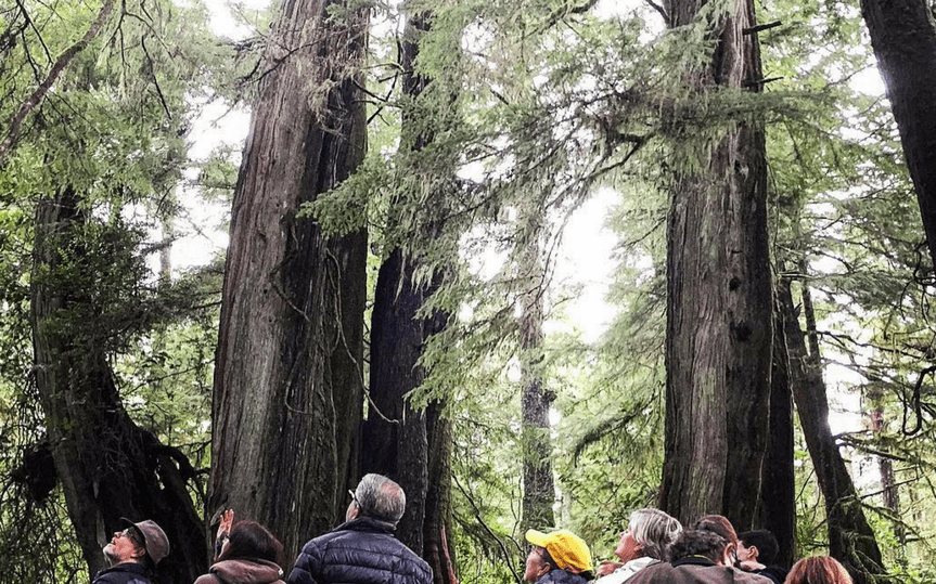 Long Beach Nature Tours Tofino Ucluelet