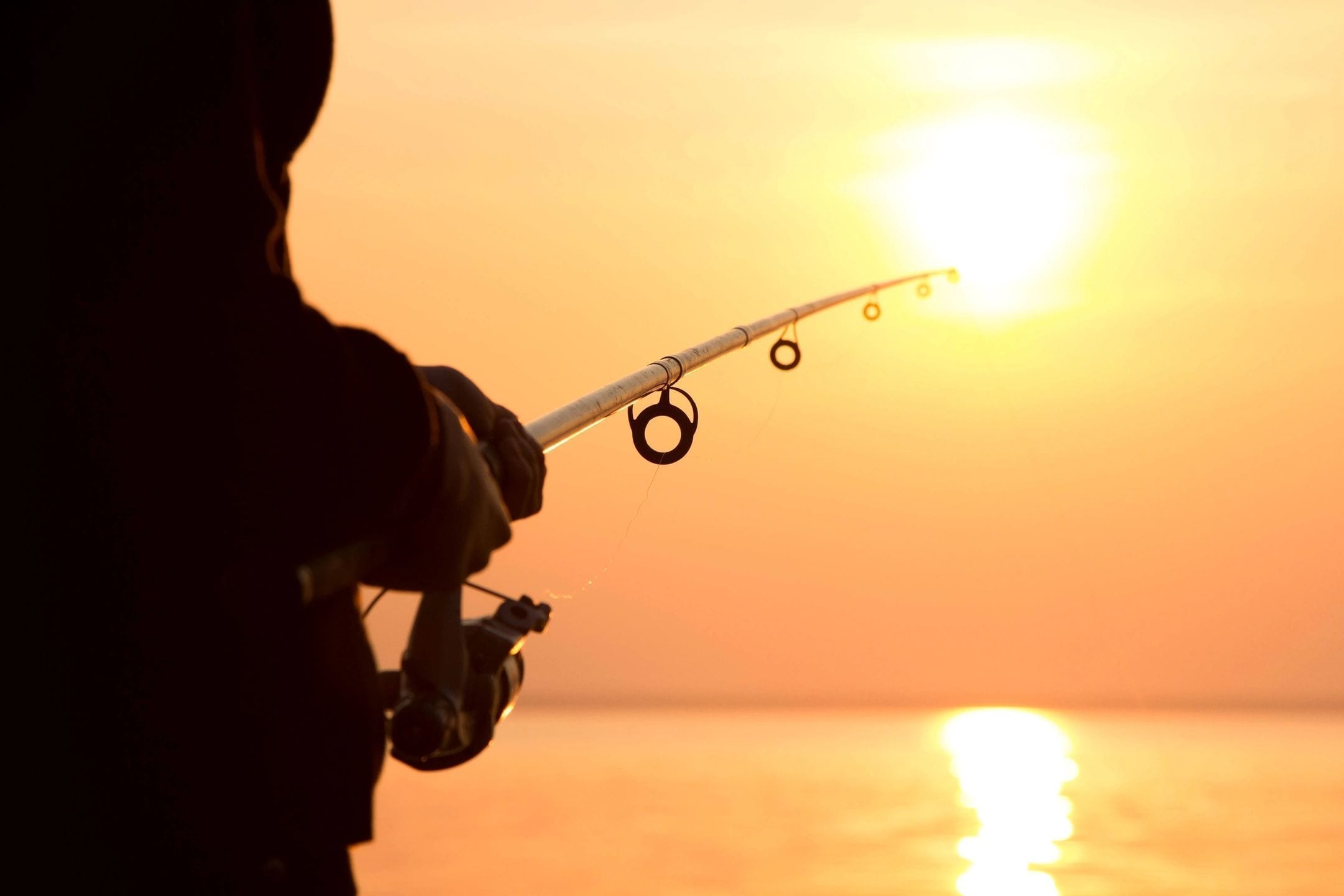 tofino fishing