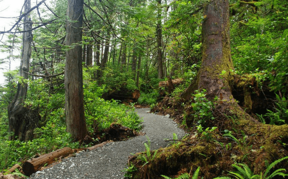 Tonquin Trail