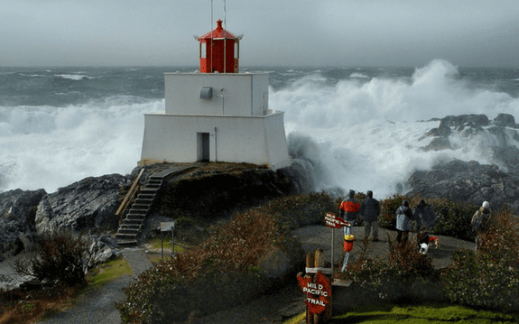 Wild Pacific Trail