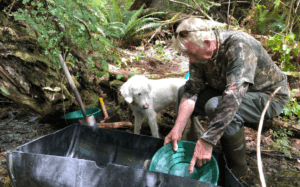 Tofino Gold Adventures