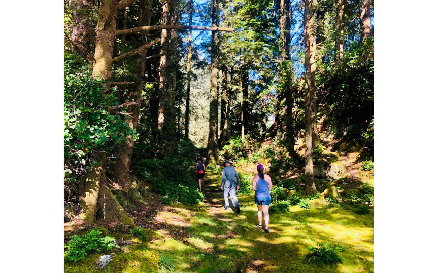 Tofino and Ucluelet Events & Activities Fun Things To Do In Tofino