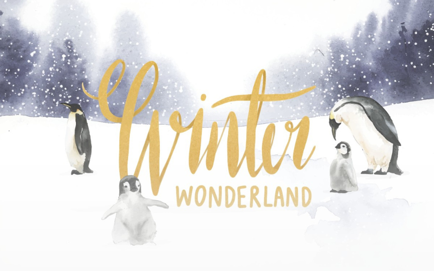 Winter Wonderland Camp at the Tofino Community Hall