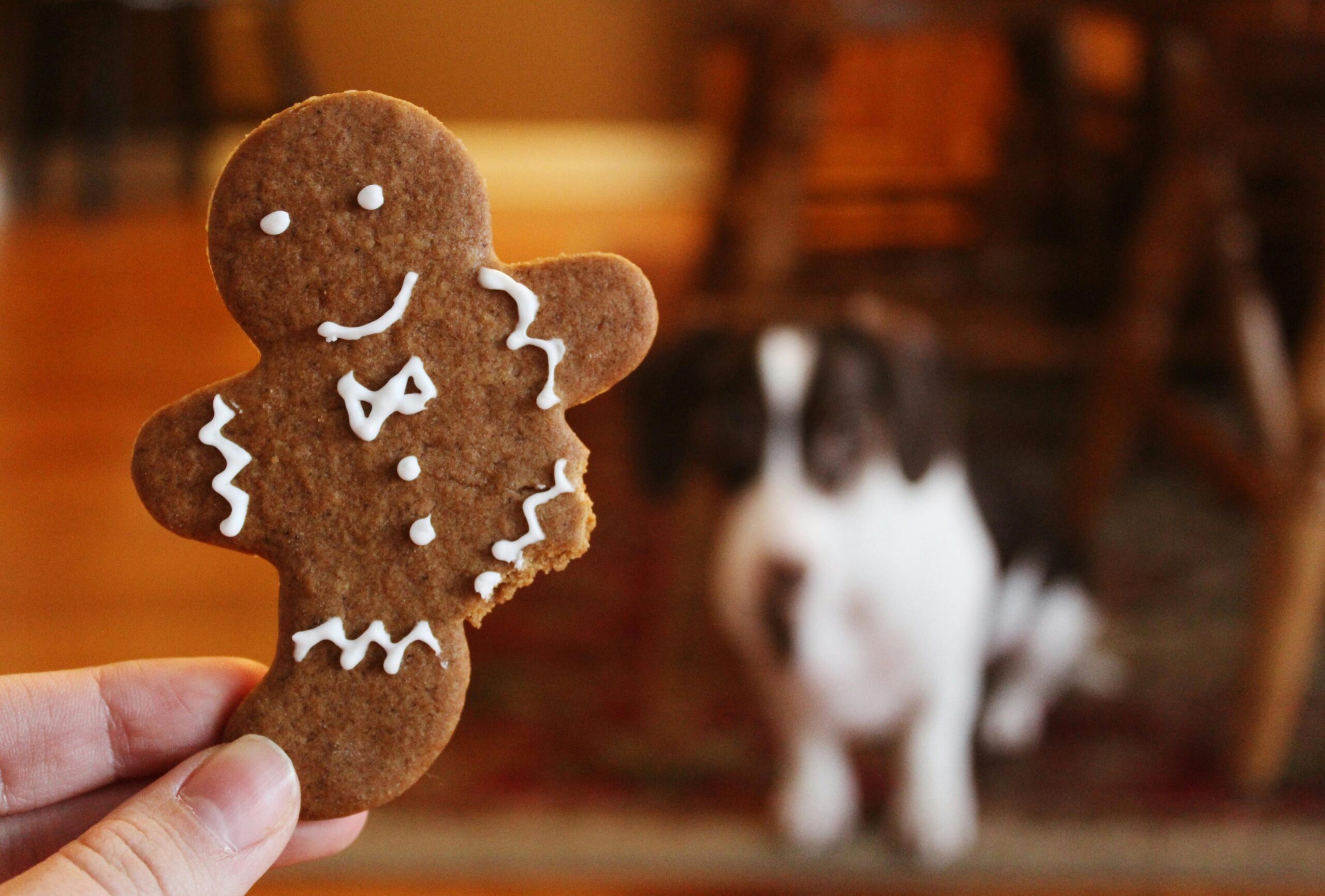 Gingerbread People Party at Hotel Zed Tofino